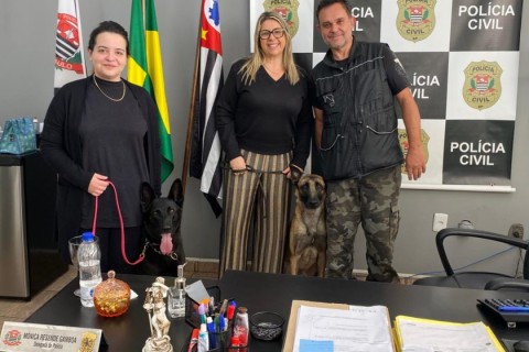 Agosto Lilás: Cotia terá exibição de ‘Cão Protetor para Mulheres Vítimas de Violência